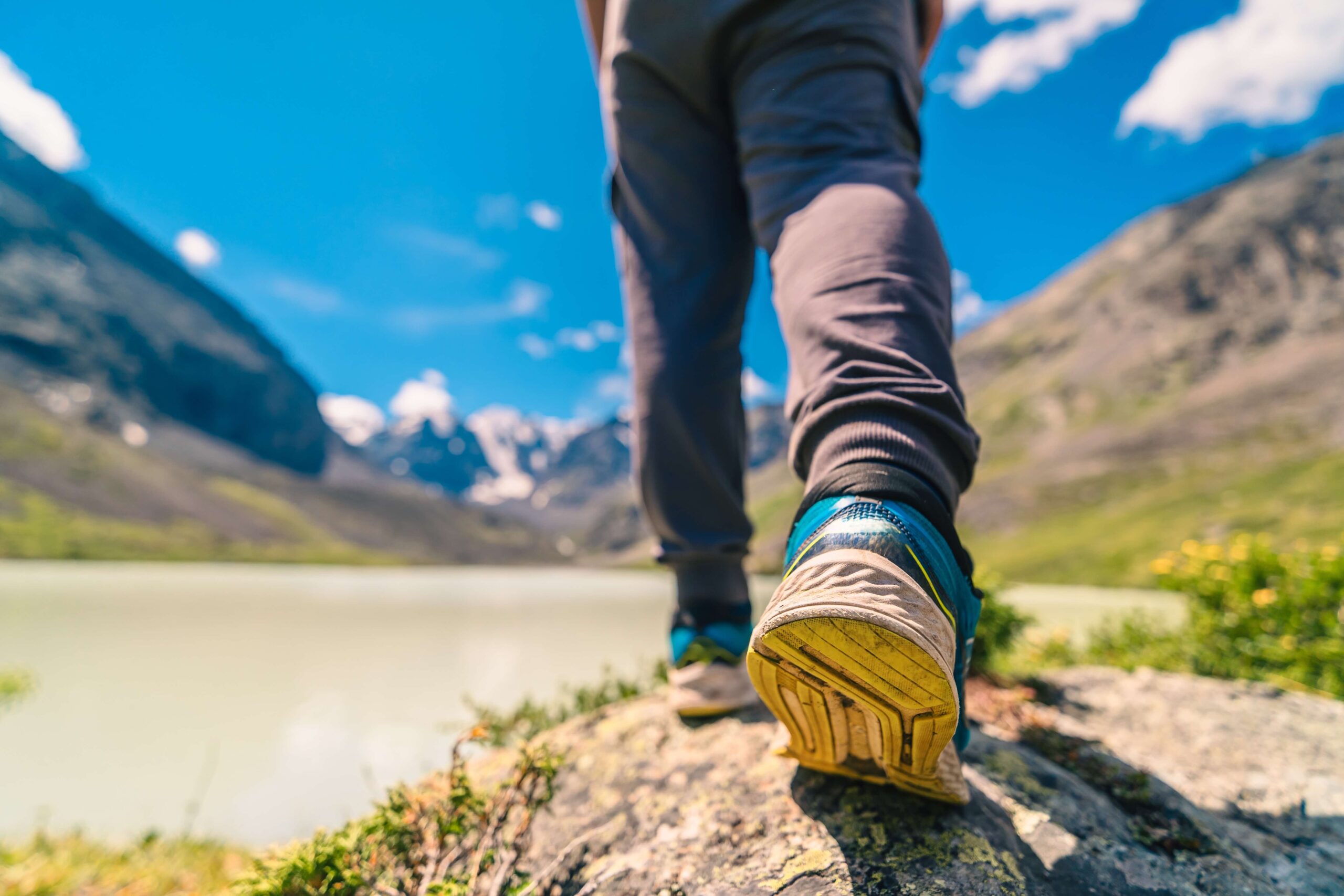 Personal insight tools like assessments and journaling